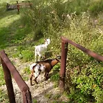 I Casali Del Buontempo Buggiano
