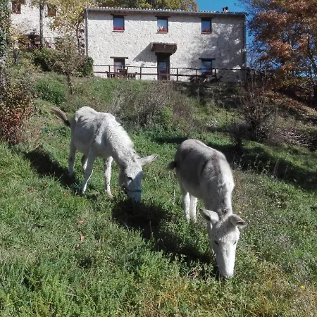 I Casali Del Buontempo Farma