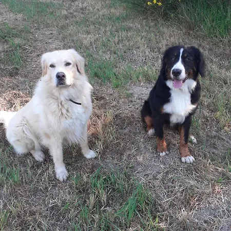 I Casali Del Buontempo