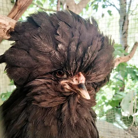 I Casali Del Buontempo *