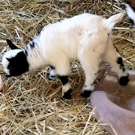 I Casali Del Buontempo * Buggiano